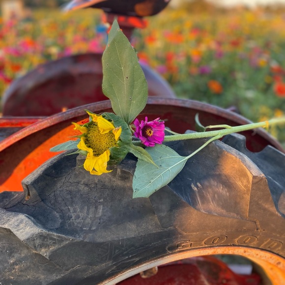 Meet your Posher, Melanie - Picture 12 of 16